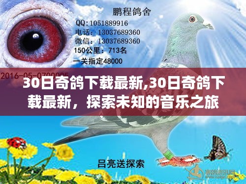 探索未知音乐之旅，最新30日奇鸽下载体验