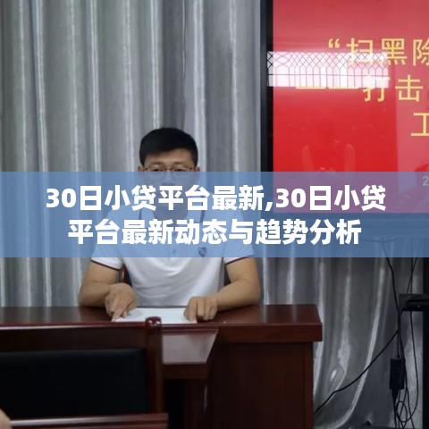 30日小贷平台最新动态及趋势分析概览