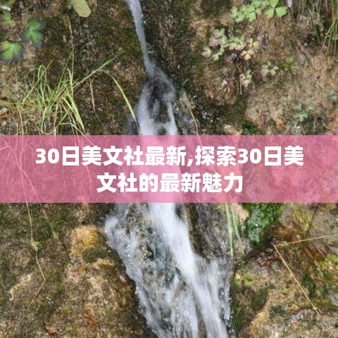 探索最新魅力，30日美文社最新动态