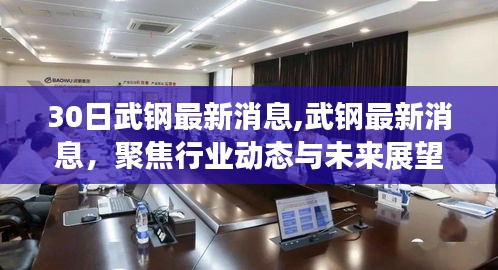 武钢最新动态与行业展望，3月30日报道聚焦焦点