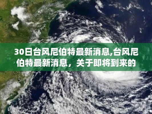 关于即将到来的超强台风尼伯特的最新详细报告，台风动态与应对措施（最新消息更新）