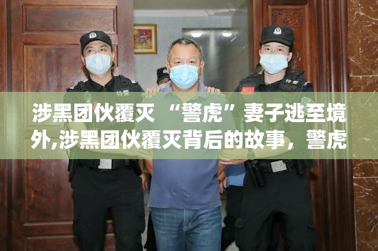 警虎妻子逃亡境外，涉黑团伙覆灭背后的故事揭秘