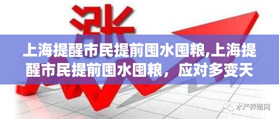 上海应对多变天气的智慧与准备，提前囤水囤粮提醒市民做好准备