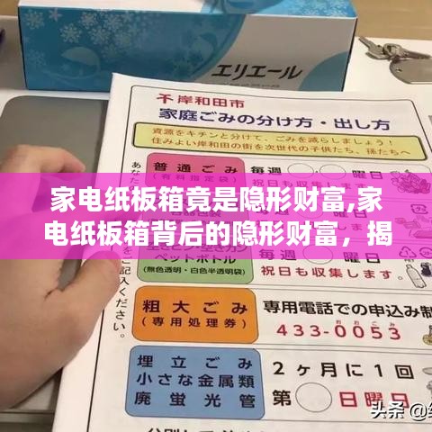 家电纸板箱背后的隐形财富，潜在价值与创新应用探索