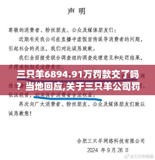 关于三只羊公司罚款情况的回应与探讨，罚款是否已交？