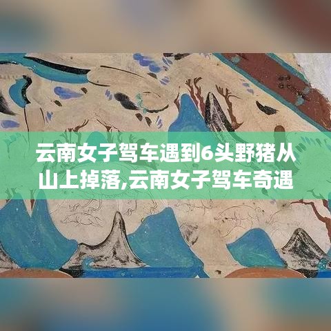 云南女子驾车偶遇六头野猪意外从山上跌落