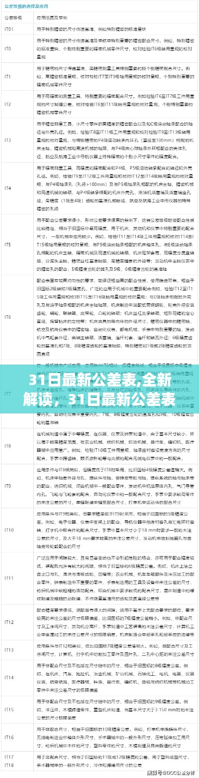 31日最新公差表详解，全新解读与探讨