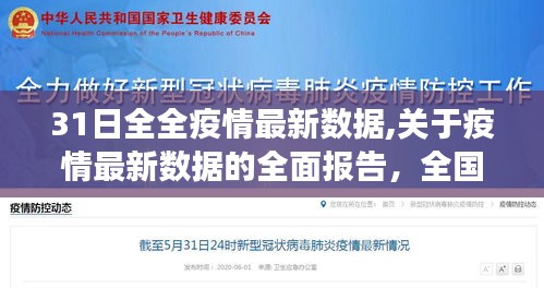 全国疫情最新动态报告，截至XX月31日的全面数据与分析