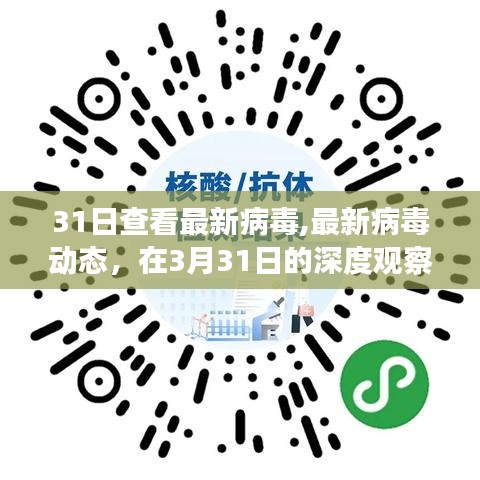 3月31日深度观察与解析，最新病毒动态报告