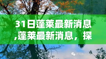 探寻神秘仙境蓬莱的最新动态（最新消息更新）