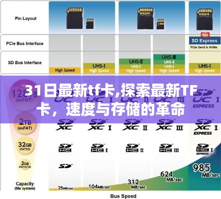 最新TF卡，速度与存储的革命探索