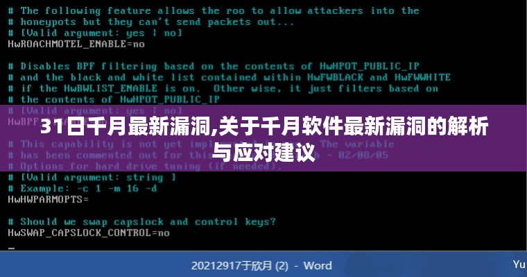 千月软件最新漏洞解析与应对建议，31日千月漏洞深度解析