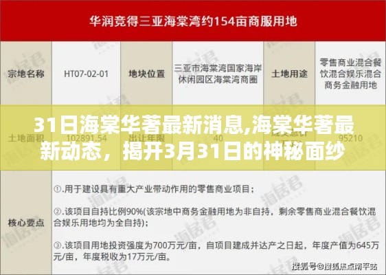 海棠华著最新动态揭秘，3月31日更新消息与神秘面纱下的新进展