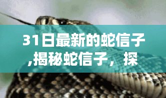 最新蛇信子研究报告揭秘蛇类神秘感知器官的最新进展（XXXX年XX月XX日发布）