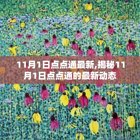 揭秘，11月1日点点通最新动态更新