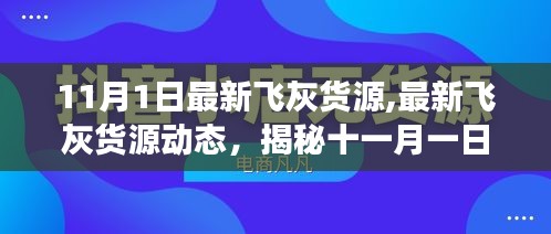 揭秘，最新飞灰货源动态与飞灰市场概况（11月1日更新）