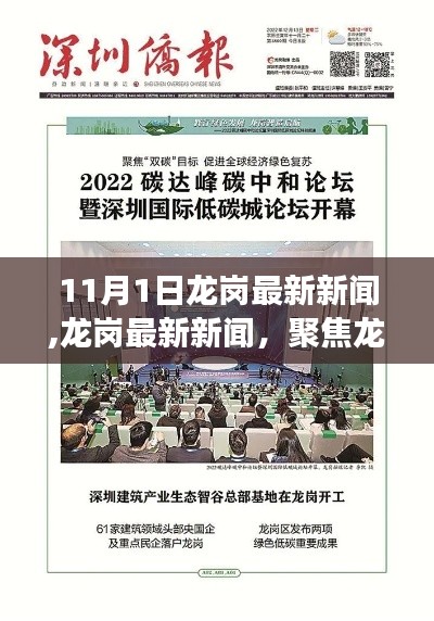 龙岗最新新闻动态，聚焦发展探寻未来新动向——11月1日报道