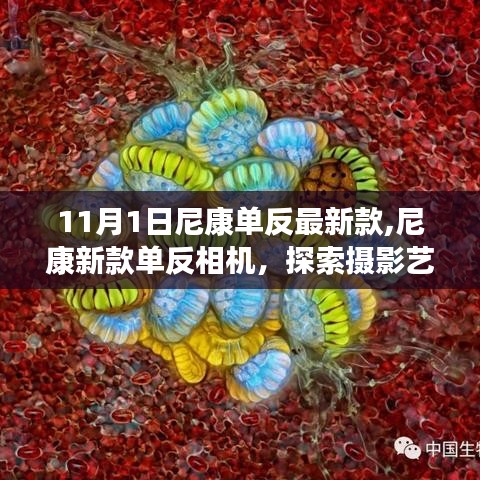 尼康新款单反相机发布，探索摄影艺术的极致体验（11月1日最新款）