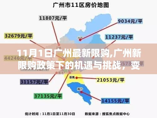 广州新限购政策下的机遇与挑战，变化中的自信与成就之路探索