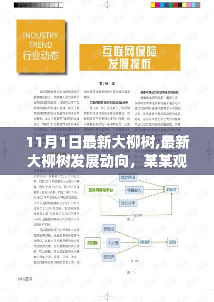 最新大柳树发展动向揭秘，观点探析与进展报告