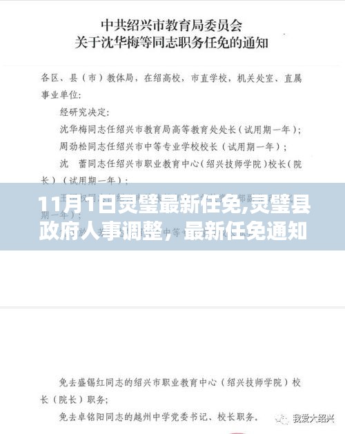 灵璧县政府人事调整最新任免通知（11月1日起）