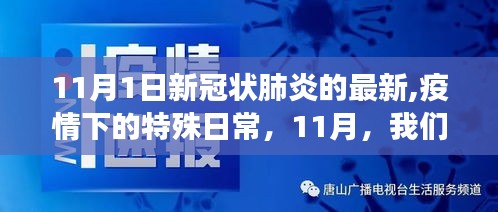 抗疫小分队与新冠肺炎的温馨故事，疫情下的特殊日常（11月最新更新）