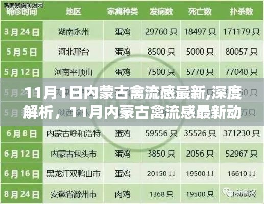 11月内蒙古禽流感最新动态与深度解析报告