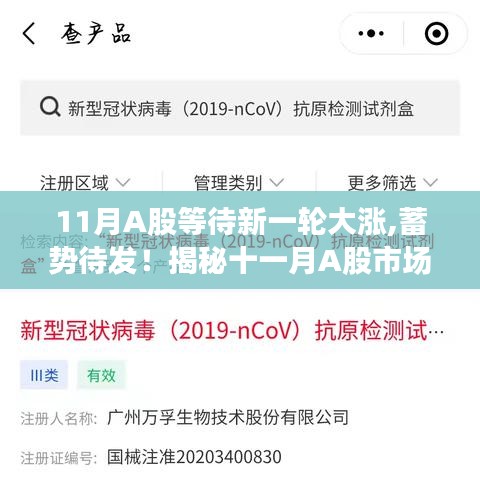 揭秘十一月A股市场的新篇章，蓄势待发的大涨驱动力与崭新机遇展望