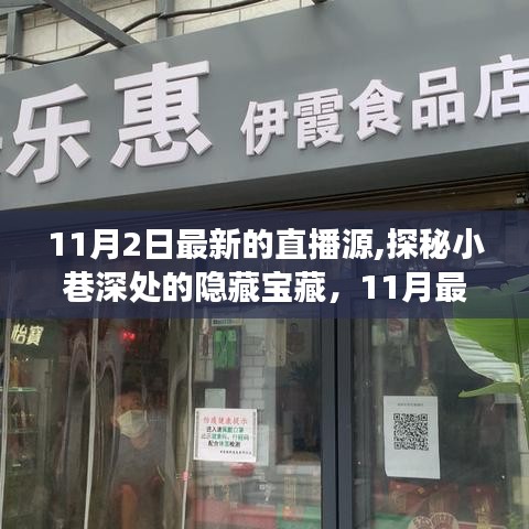 探秘小巷深处隐藏宝藏，11月最新直播源特色小店之旅