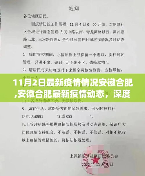 安徽合肥最新疫情动态解析，深度解读11月2日最新情况