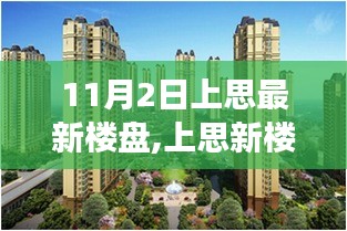 上思最新楼盘的温馨时光，日常趣事与11月2日的独特记忆