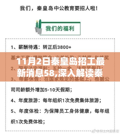 11月2日秦皇岛最新招工消息解析，58同城平台深度解读