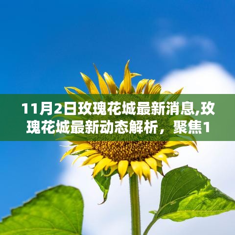 11月2日玫瑰花城最新动态及热议观点聚焦