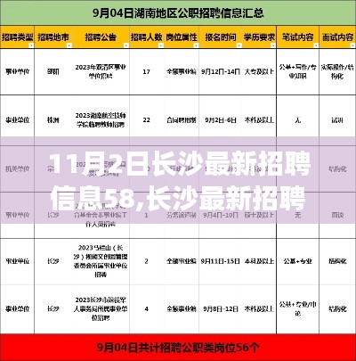 长沙最新招聘信息概览，聚焦要点解析（11月2日更新）