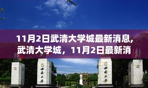 武清大学城最新动态，回顾与展望，11月2日最新消息速递