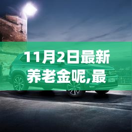 最新养老金政策解读与深度剖析，某某观点下的探讨（或深度解读养老金政策，某某视角下的最新解读）