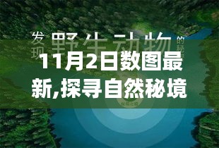 探寻自然秘境，数图带你领略最新美景的旅行对话心灵之旅（标题）