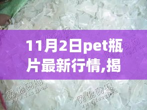 揭秘，11月2日PET瓶片最新行情，智能生活新高度展望！