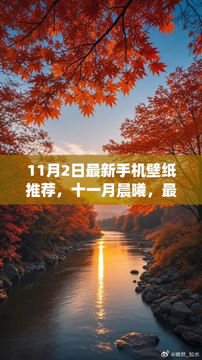 十一月晨曦，最新手机壁纸推荐之潮流篇章（11月2日更新）