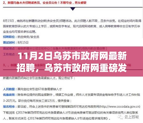 乌苏市政府网最新招聘启事揭秘，11月2日招聘信息大解密！