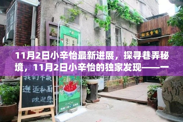 揭秘小辛怡的独家发现，巷弄秘境中的特色小店