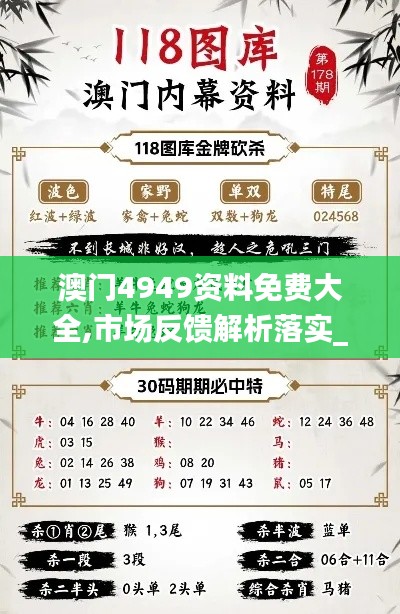 澳门4949资料免费大全,市场反馈解析落实_32.065