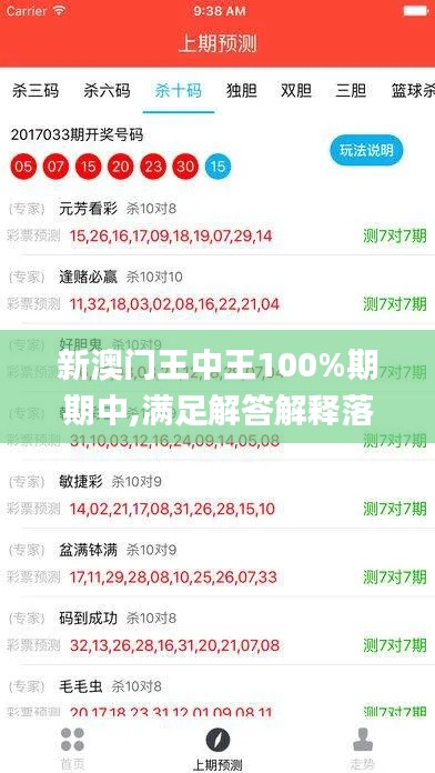 新澳门王中王100%期期中,满足解答解释落实_标准版90.305