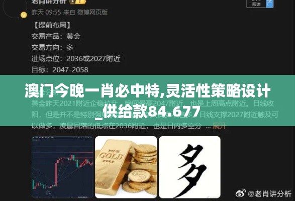 澳门今晚一肖必中特,灵活性策略设计_供给款84.677