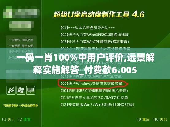 一码一肖100%中用户评价,远景解释实施解答_付费款6.005