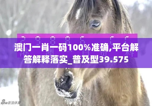 澳门一肖一码100%准确,平台解答解释落实_普及型39.575