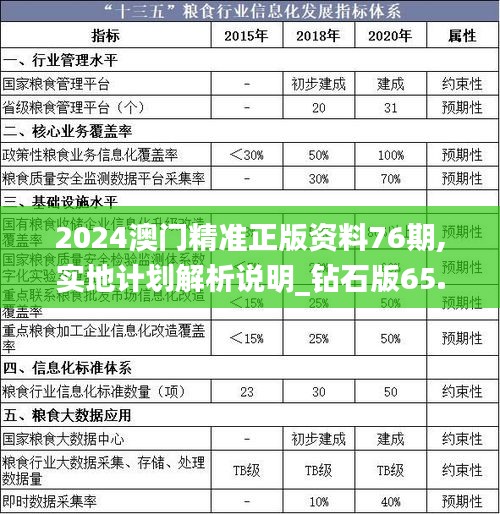 2024澳门精准正版资料76期,实地计划解析说明_钻石版65.796