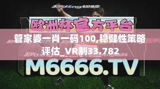 管家婆一肖一码100,稳健性策略评估_VR制33.782