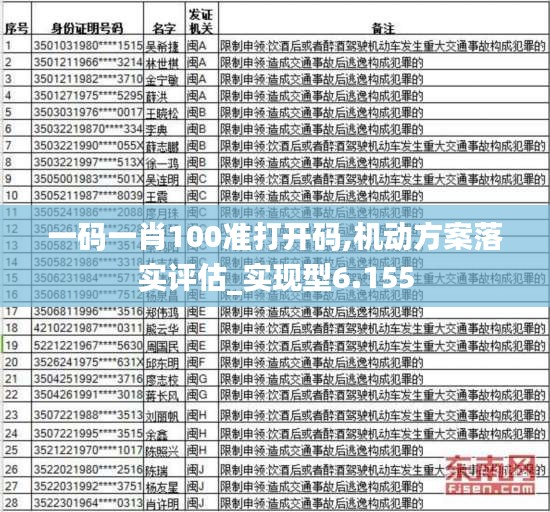 一码一肖100准打开码,机动方案落实评估_实现型6.155