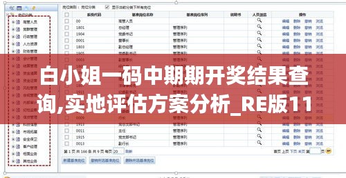 白小姐一码中期期开奖结果查询,实地评估方案分析_RE版11.58